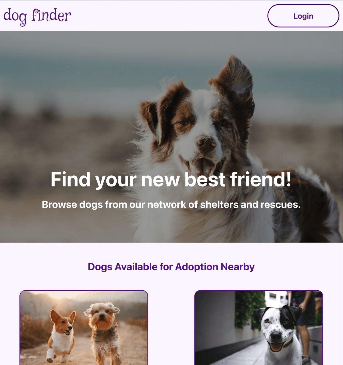 dog finder home page