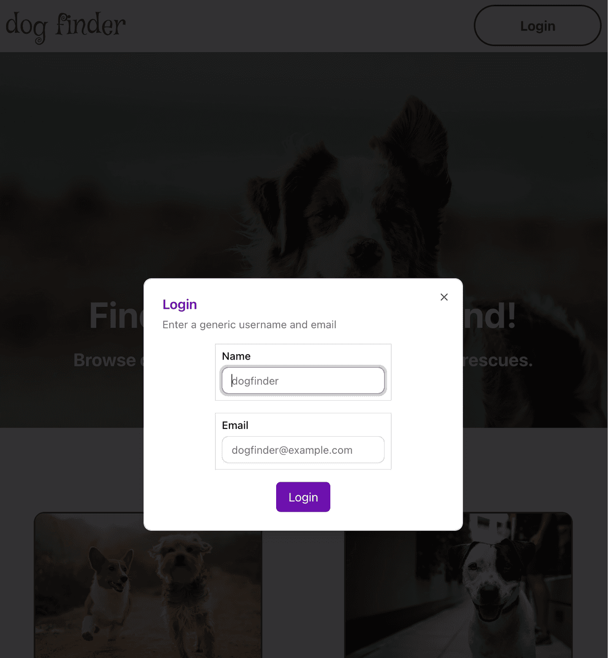 dog finder login form